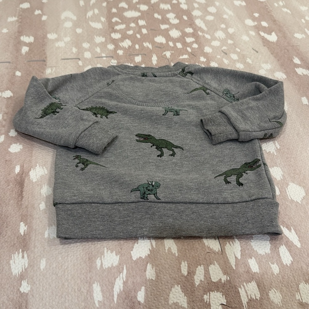 Sovereign Code Boys Dinosaur Sweatshirt Gray Size 18M - Picture 7 of 11
